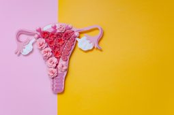 Endometriosis: Síntomas, causas y consecuencias