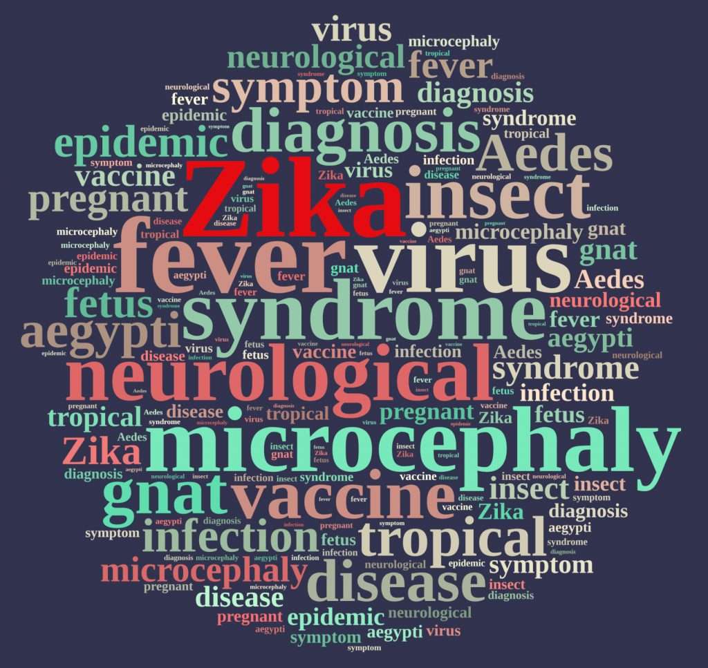 Virus ZiKa y embarazo
