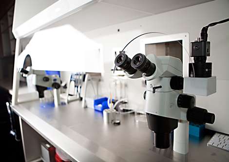 32-laboratorio_especifico_dgp-85100284