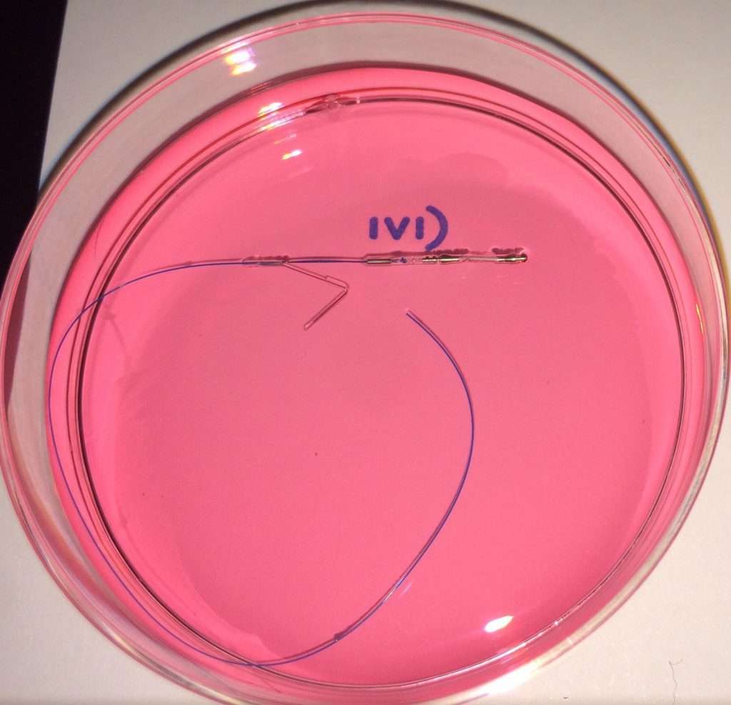 Fecundación In Vivo
