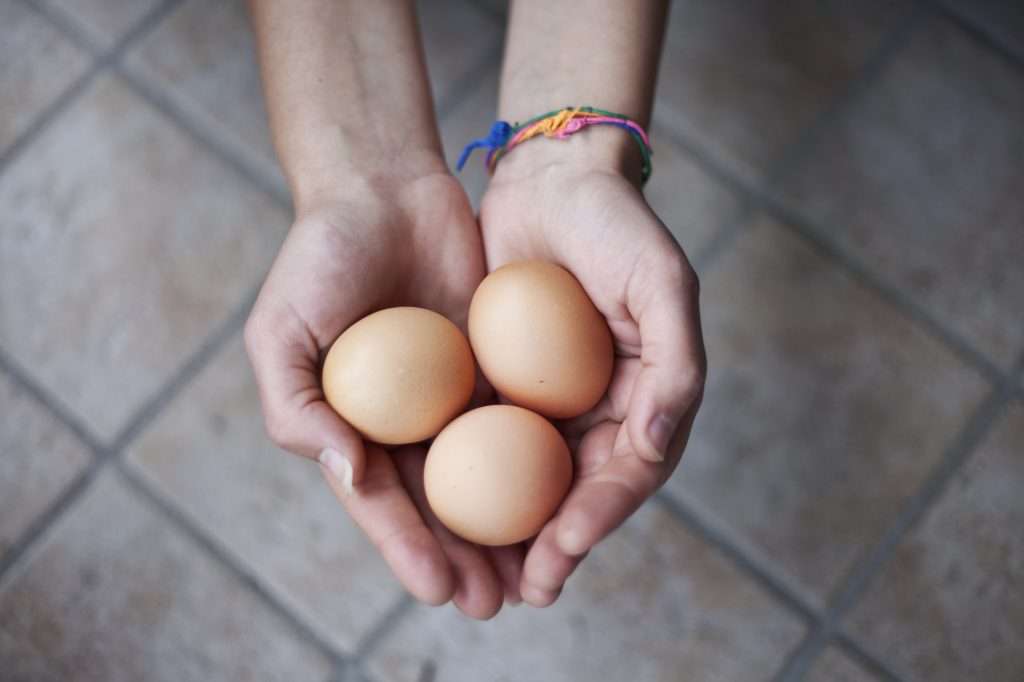 Queremos, podemos: Donación de óvulos.