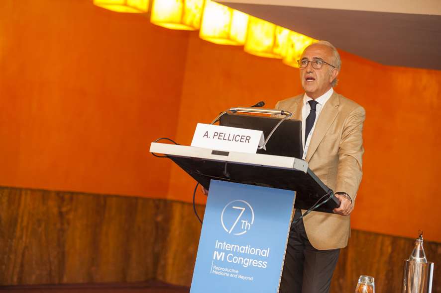 el profesor Pellicer habla de rejuvenecimiento ovarico