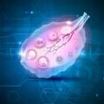 IVI recibe un premio por un estudio sobre rejuvenecimiento ovárico