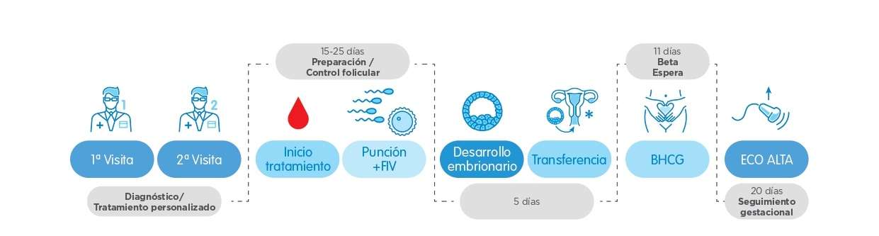 Fecha de parto segun fecundacion in vitro