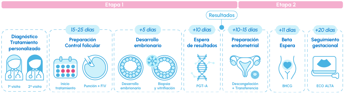 Infografía FIV Genetic (FIV + PGT-A)