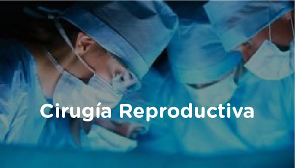 Cirugía Reproductiva
