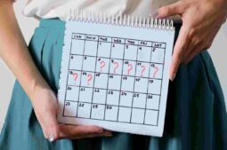 Fases del ciclo menstrual: ¿qué ocurre en cada una?