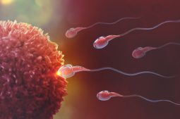 ¿Cuánto saben las españolas sobre infertilidad?