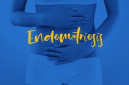 guía endometriosis IVI