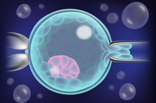 Qué es y en qué consiste una Biopsia Embrionaria