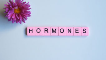 ¿Cómo afectan las hormonas a mi cuerpo?