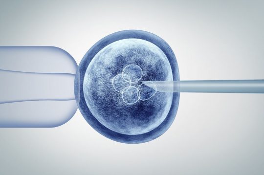 La precisión de los test genéticos preimplantacionales no invasivos, a debate en el 9th IVIRMA Congress