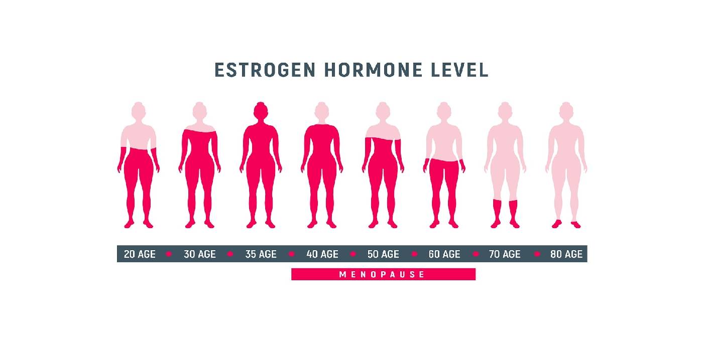 que son los estrogenos