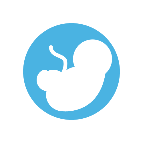 Existe una comunicación entre el embrión y su futura madre, incluso antes de la implantación.