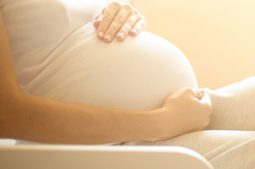 cordón umbilical