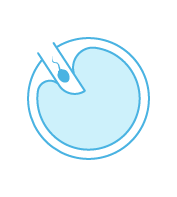 Fecundación in Vitro