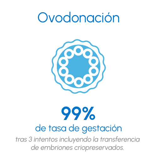 ovodonacion exito