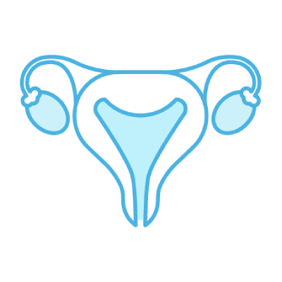 Preparación endometrial