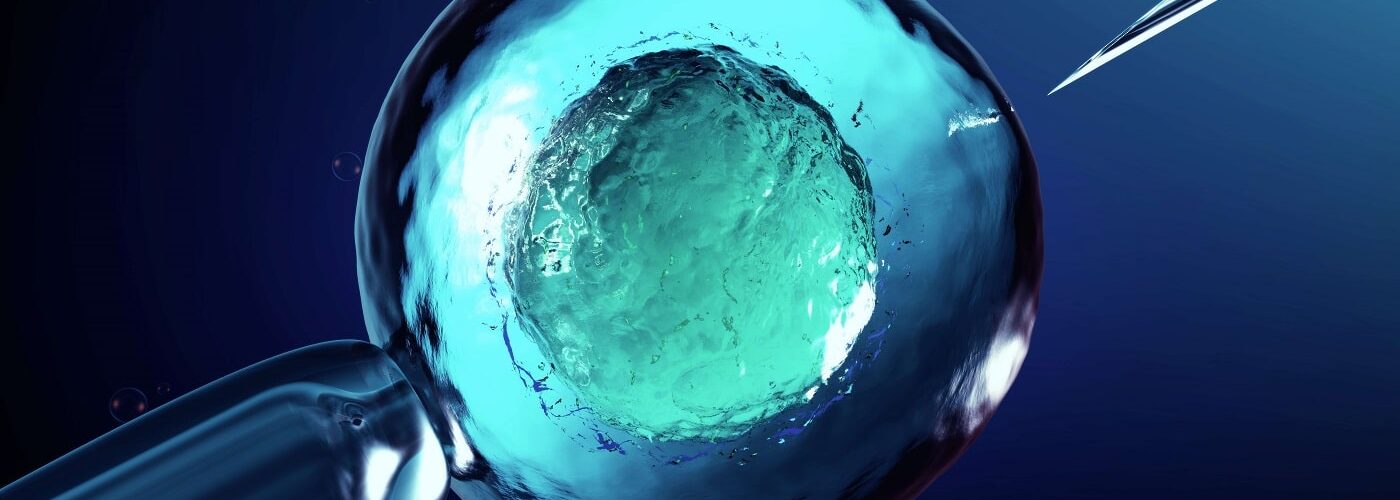 implantación embrionaria