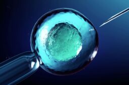 Implantación embrionaria: cuándo ocurre, síntomas y factores que influyen