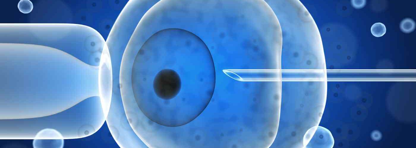 preservar óvulos y reparar tejidos uterinos