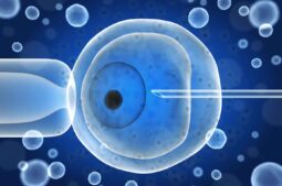 preservar óvulos y reparar tejidos uterinos