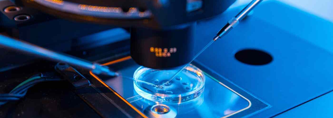 preservación de óvulos y regeneración de tejidos uterinos