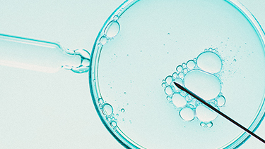 Reproducción Asistida