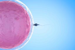 Eyaculación retrógrada