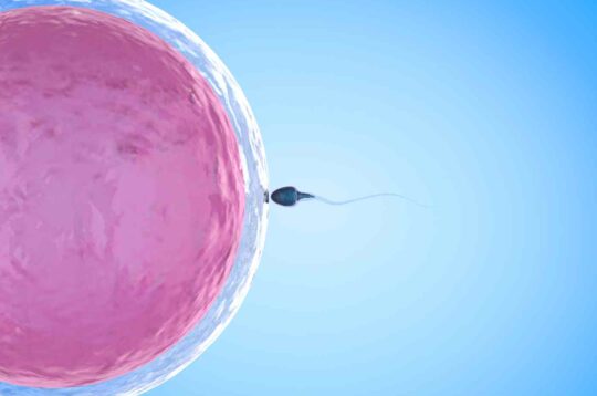 Eyaculación retrógrada: Síntomas y causas