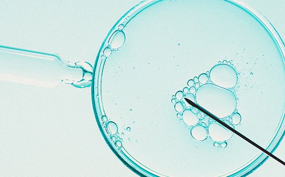 Reproducción Asistida