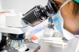 Avances en implantación embrionaria: cómo el endometrio puede mejorar el éxito del embarazo
