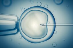 ¿Qué pruebas necesito antes de una FIV con ICSI?
