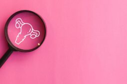 El SOP cambia de nombre: todo lo que necesitas saber sobre el SOMP