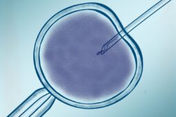 Avances en imagen hiperespectral: ¿Cómo la IA puede mejorar la selección de espermatozoides en reproducción asistida?
