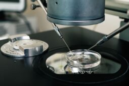 ¿Cómo es el proceso de la Fecundación In Vitro paso a paso?