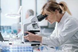 La regeneración del endometrio dañado, cada vez más cerca gracias a un estudio preclínico de Fundación IVI